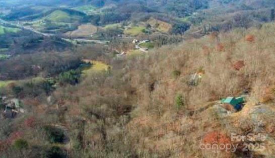 Lot 21 Brer Rabbit Trail, Unit 21 Waynesville, NC 28785 - Photo 14 of 19 a view of a forest
