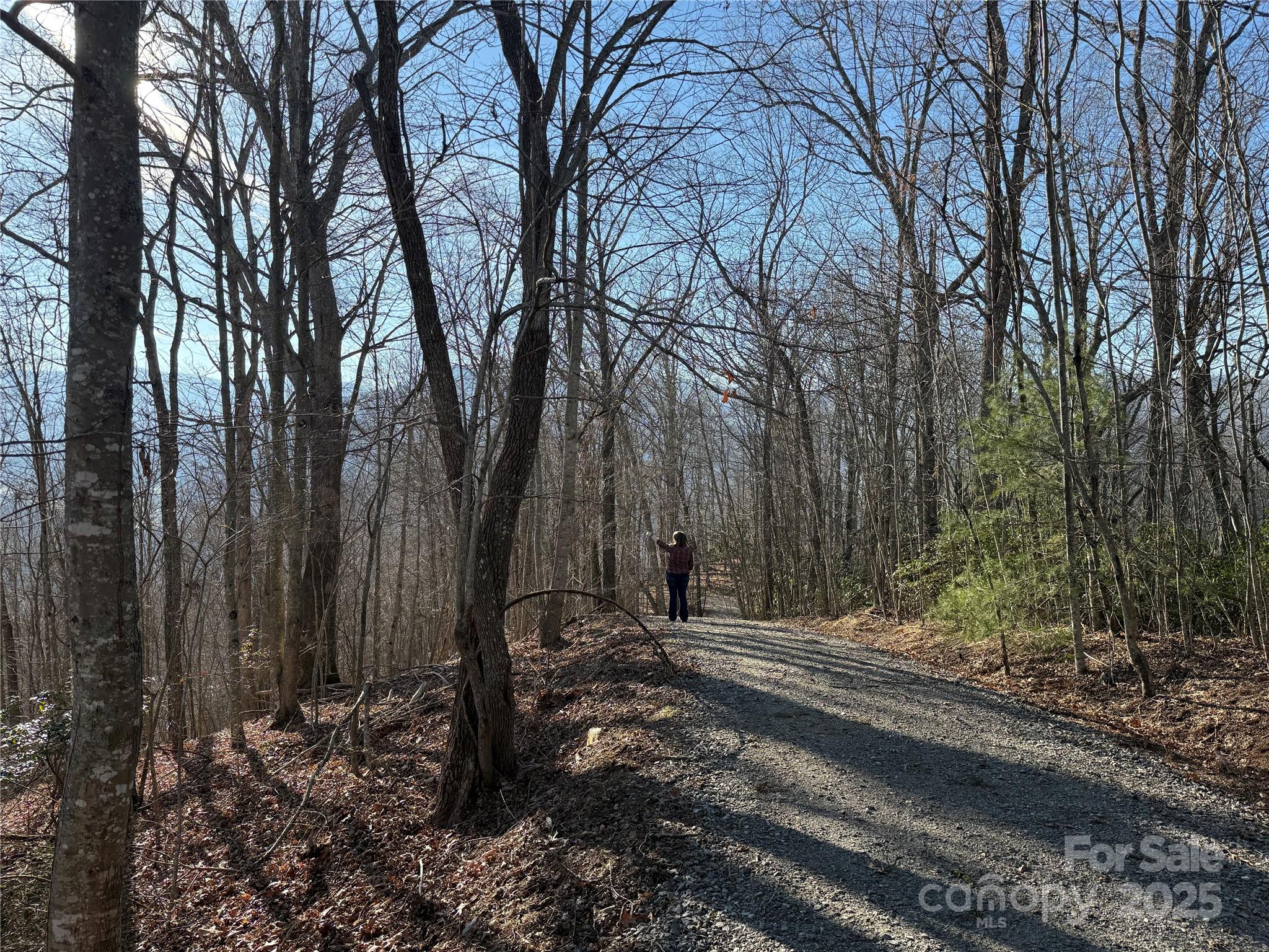 Lot 21 Brer Rabbit Trail, Unit 21 Waynesville, NC 28785 - Photo 2 of 19 a backyard of a house with lots of green space