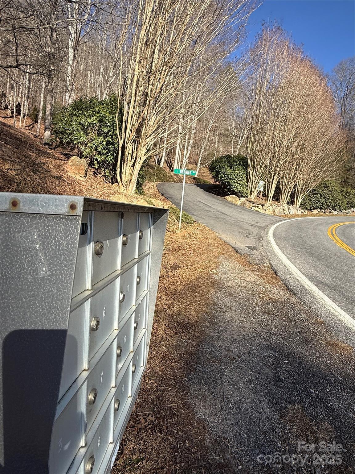 Lot 21 Brer Rabbit Trail, Unit 21 Waynesville, NC 28785 - Photo 10 of 19 a view of backyard of house