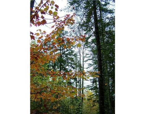 700 Butterfield Ridge Road Lincoln, ME 04457 - Photo 6 of 12 Land/Lot.