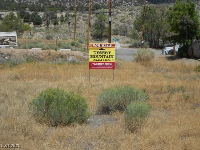 $40,000 | 3rd Street, Ely, NV 89301