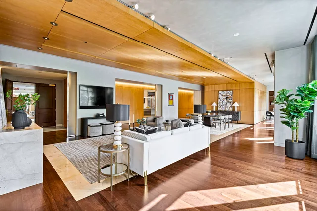 a living room with furniture dining table and a potted plant