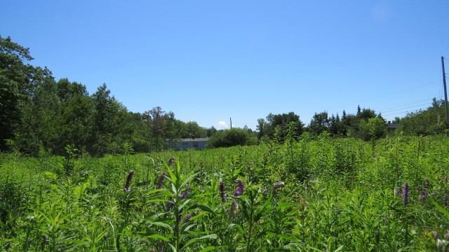 171 Red Bridge Road Ellsworth, ME 04605 - Photo 22 of 29 Photo