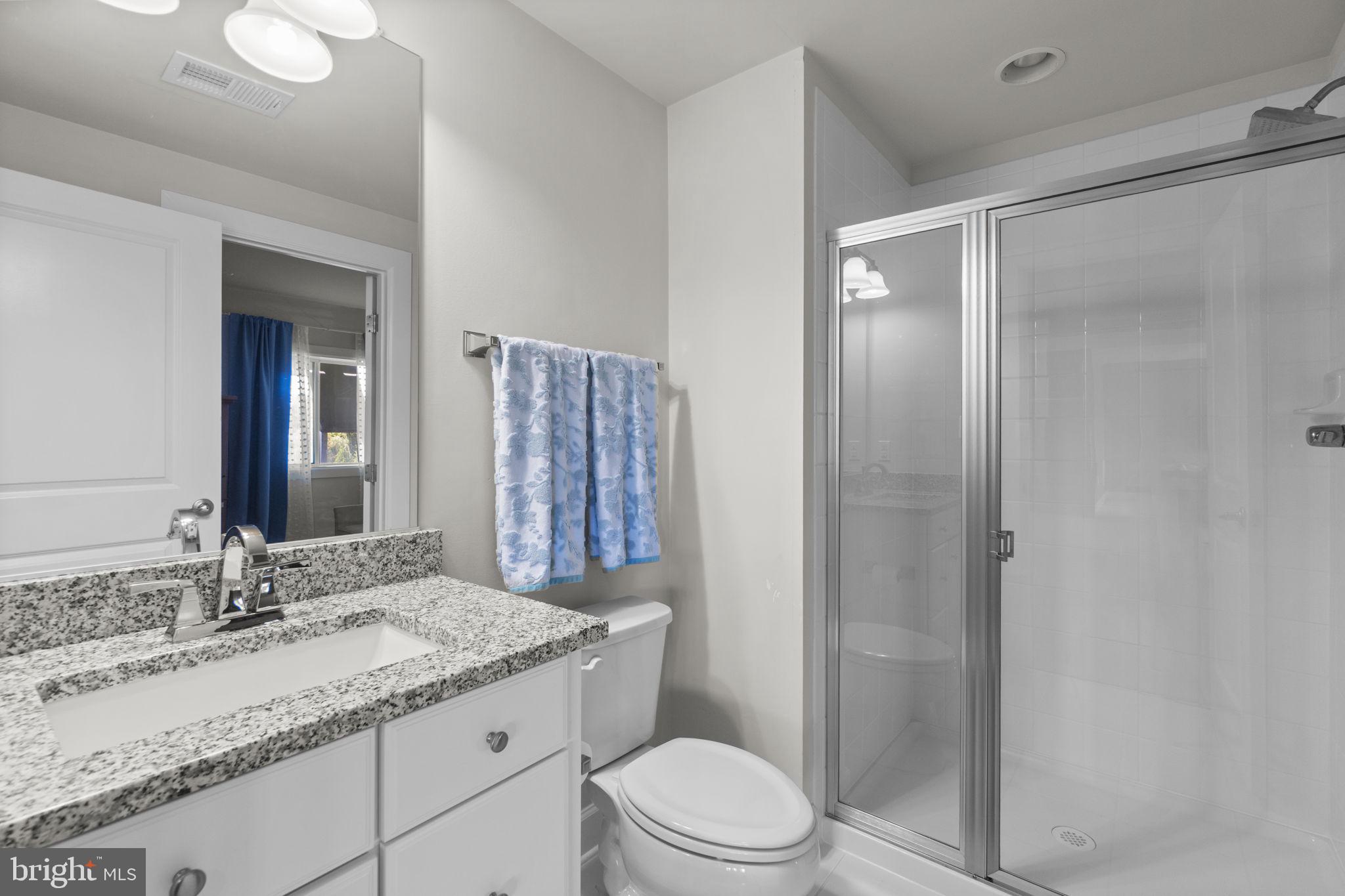1023 Fairlane Road Woodbine, MD 21797 - Photo 55 of 69 Full Bathroom #4 Lower level