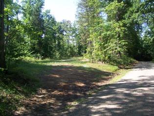 2 Timber Line Road Ferrum, VA 24088 - Photo 2 of 7 a view of a yard with plants and large trees