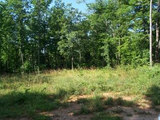 2 Timber Line Road Ferrum, VA 24088 - Photo 6 of 7 a view of outdoor space and green space