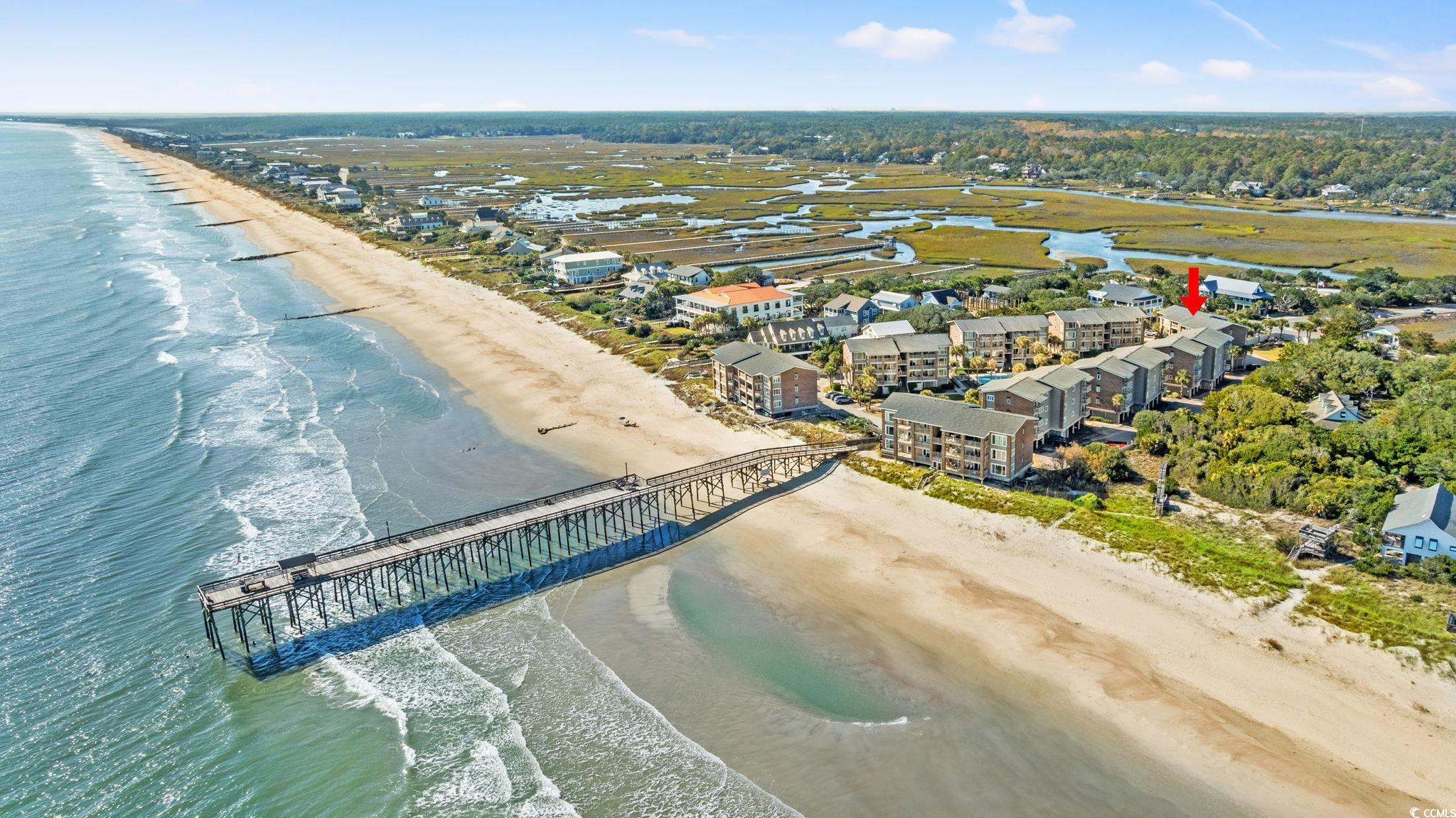 320 Myrtle Avenue Pawleys Island, SC 29585 - Photo 7 of 38 Drone / aerial view of extended coastline