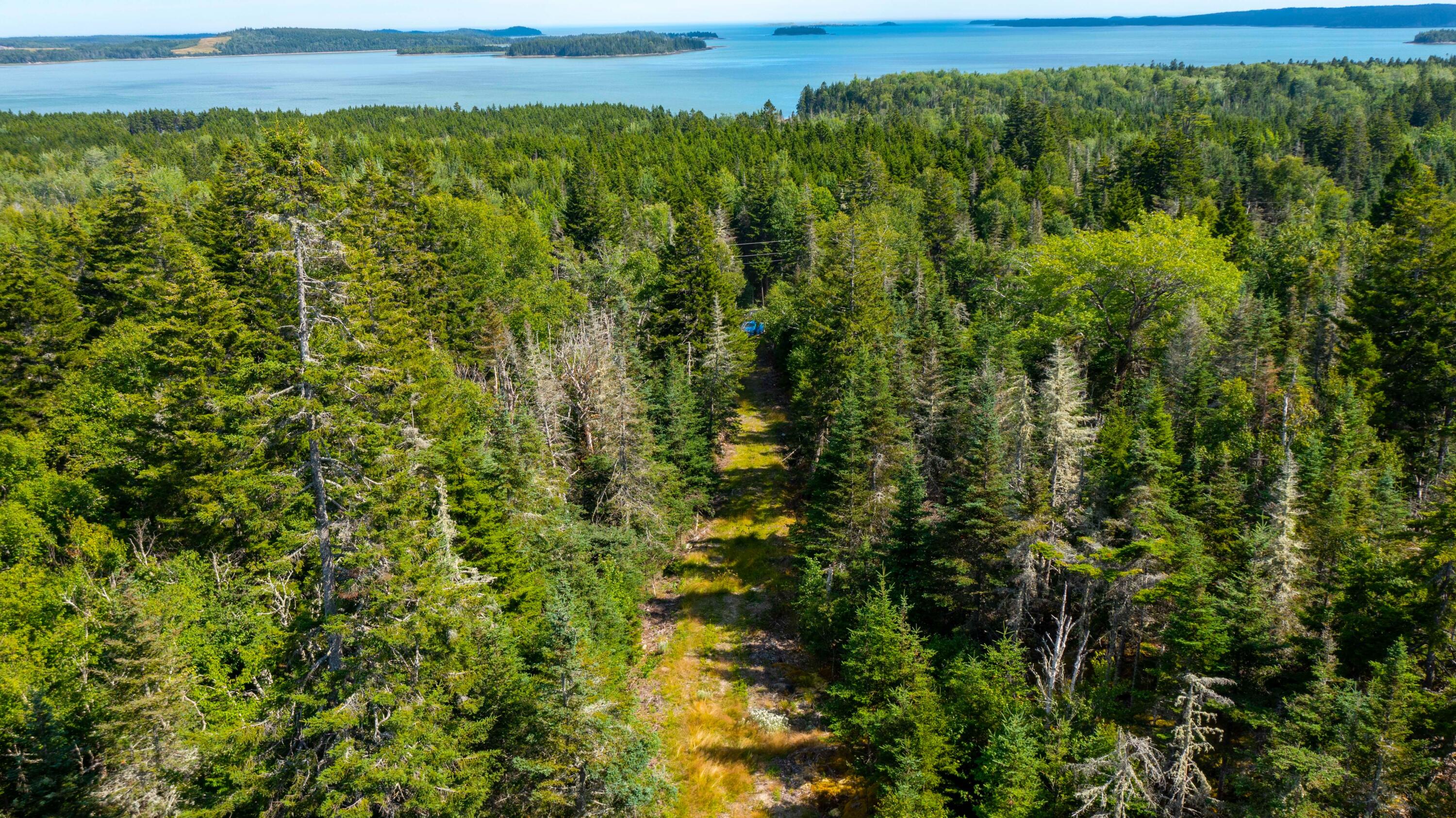 M2-l6-3e Nepp Point Road Roque Bluffs, ME 04654 - Photo 17 of 29 Nepp Point