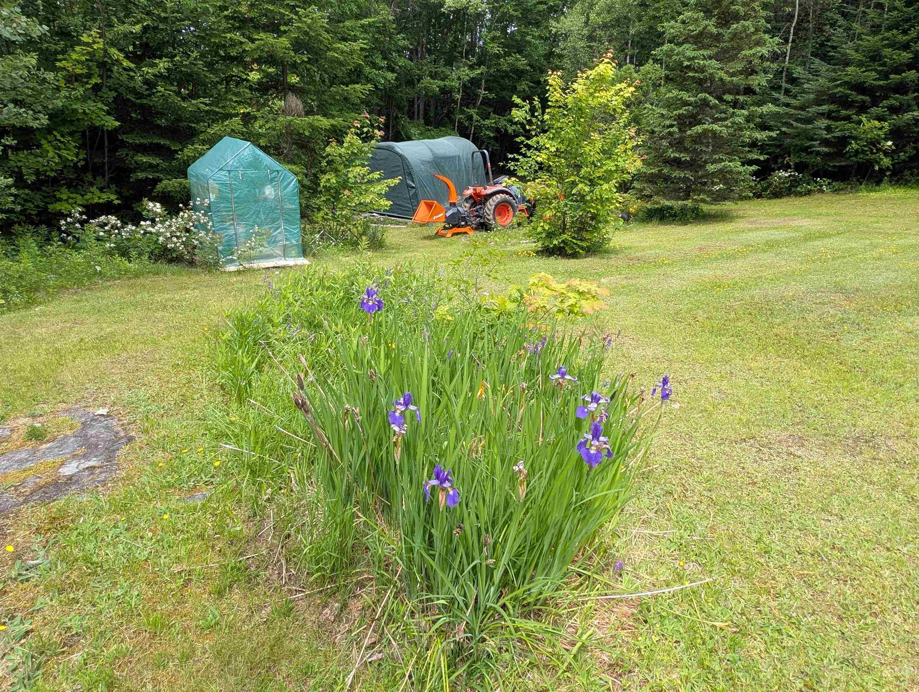 16 Griffin Road Stewartstown, NH 03576 - Photo 22 of 41