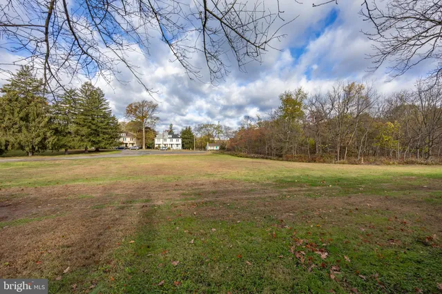 a view of yard with green space