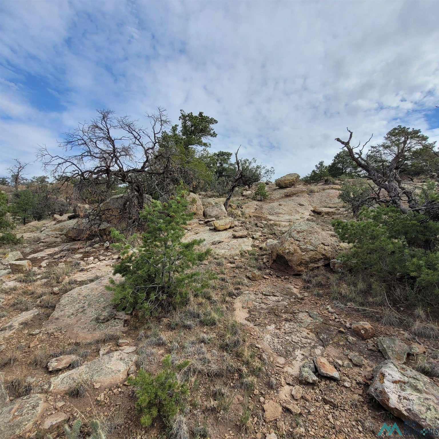 0 Lookout Loop, Unit 89 Datil, NM 87821 - Photo 32 of 38 Gallery Image 32