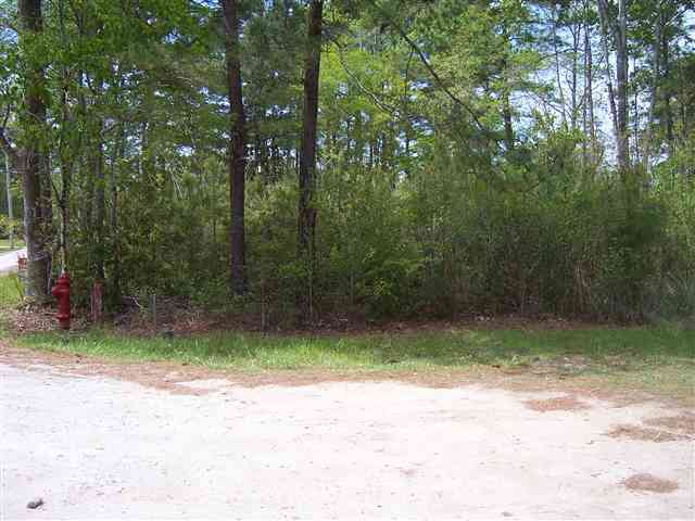 222 Bell Road Longs, SC 29568 - Photo 1 of 2 Gallery Image 1