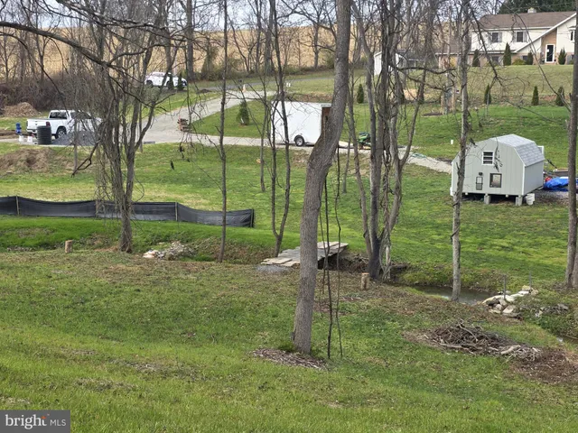 a view of a backyard with potted plants and large trees