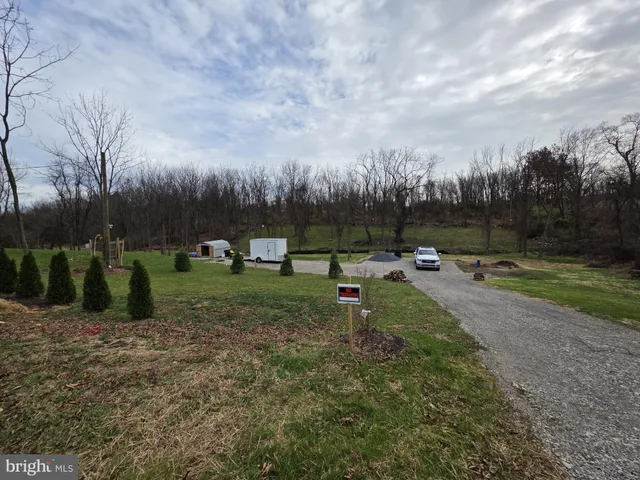 a view of a park with large trees