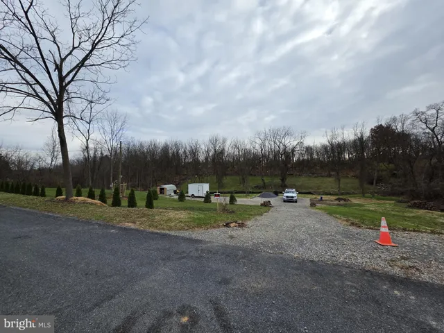 a view of a park with large trees