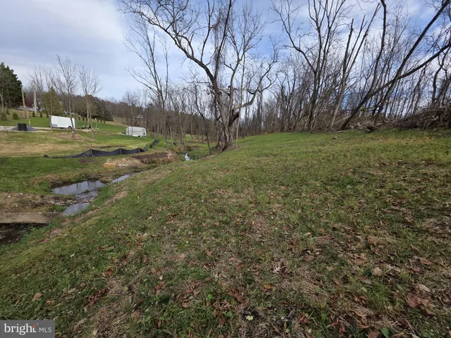 a view of a field with large trees
