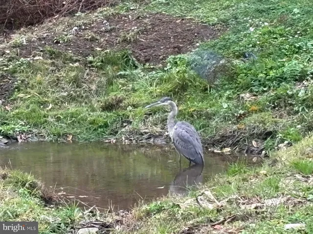 a view of a lake with a house in the background