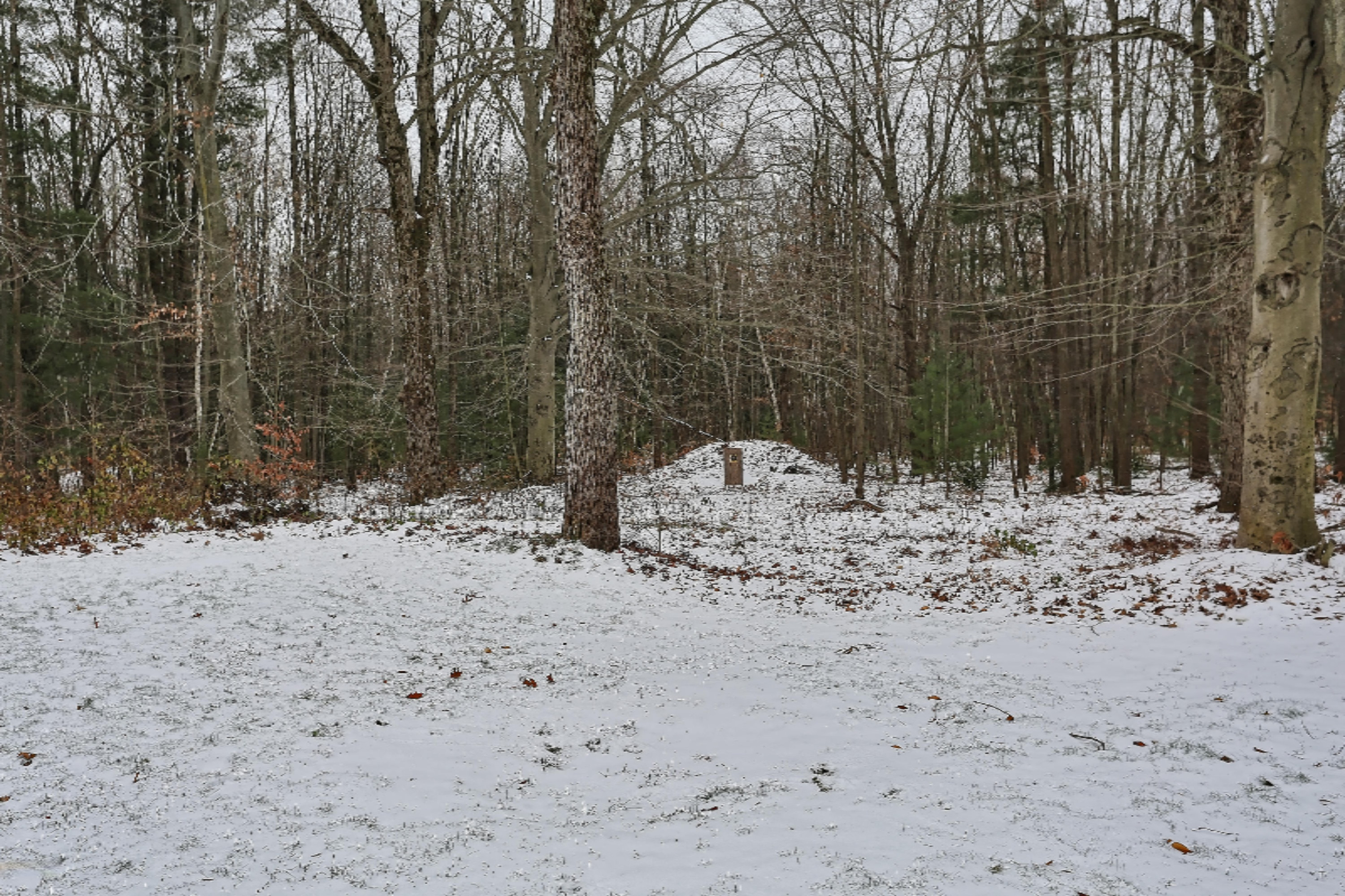 1939 Judson Road Spring Lake, MI 49456 - Photo 38 of 44 IMGL4464