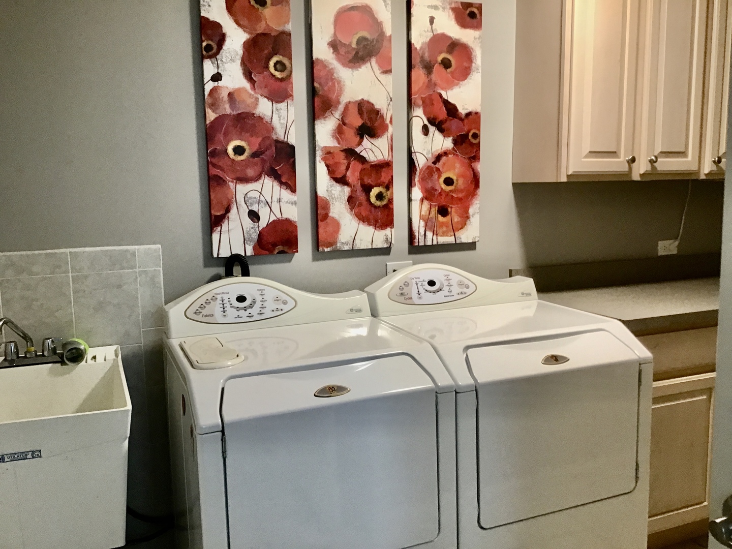 1686 Constitution Drive Glenview, IL 60026 - Photo 17 of 22 a utility room with dryer and washer
