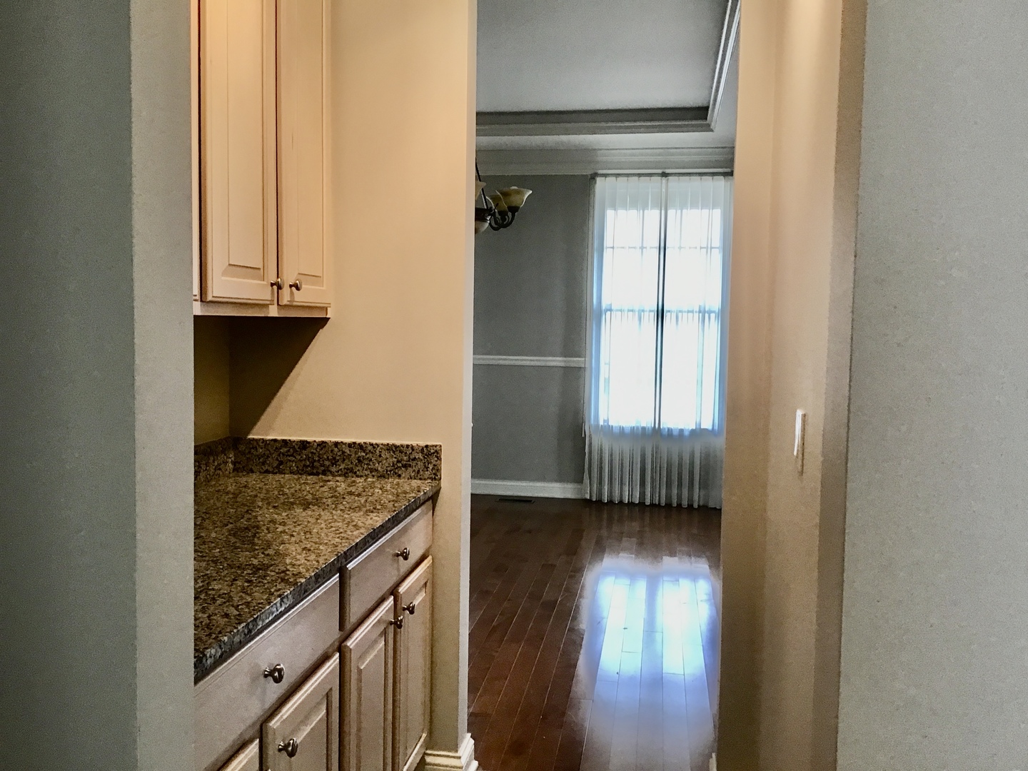 1686 Constitution Drive Glenview, IL 60026 - Photo 8 of 22 a view of entryway with wooden floor