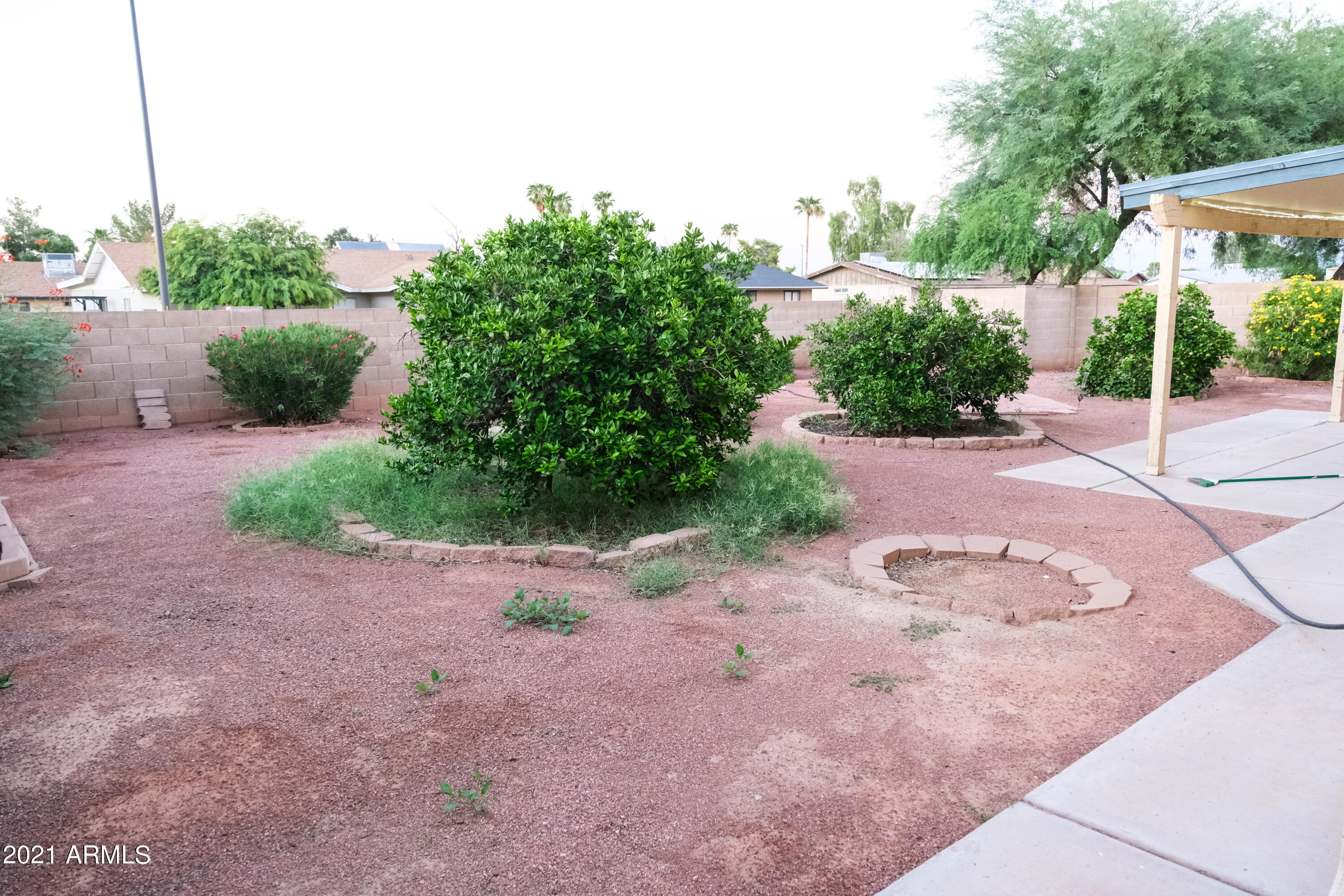 426 West Smoke Tree Road Gilbert, AZ 85233 - Photo 18 of 19 BY1_1