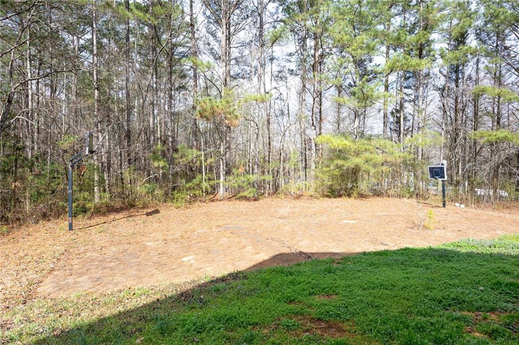 7387 Milam Road Winston, GA 30187 - Photo 35 of 41 a view of yard