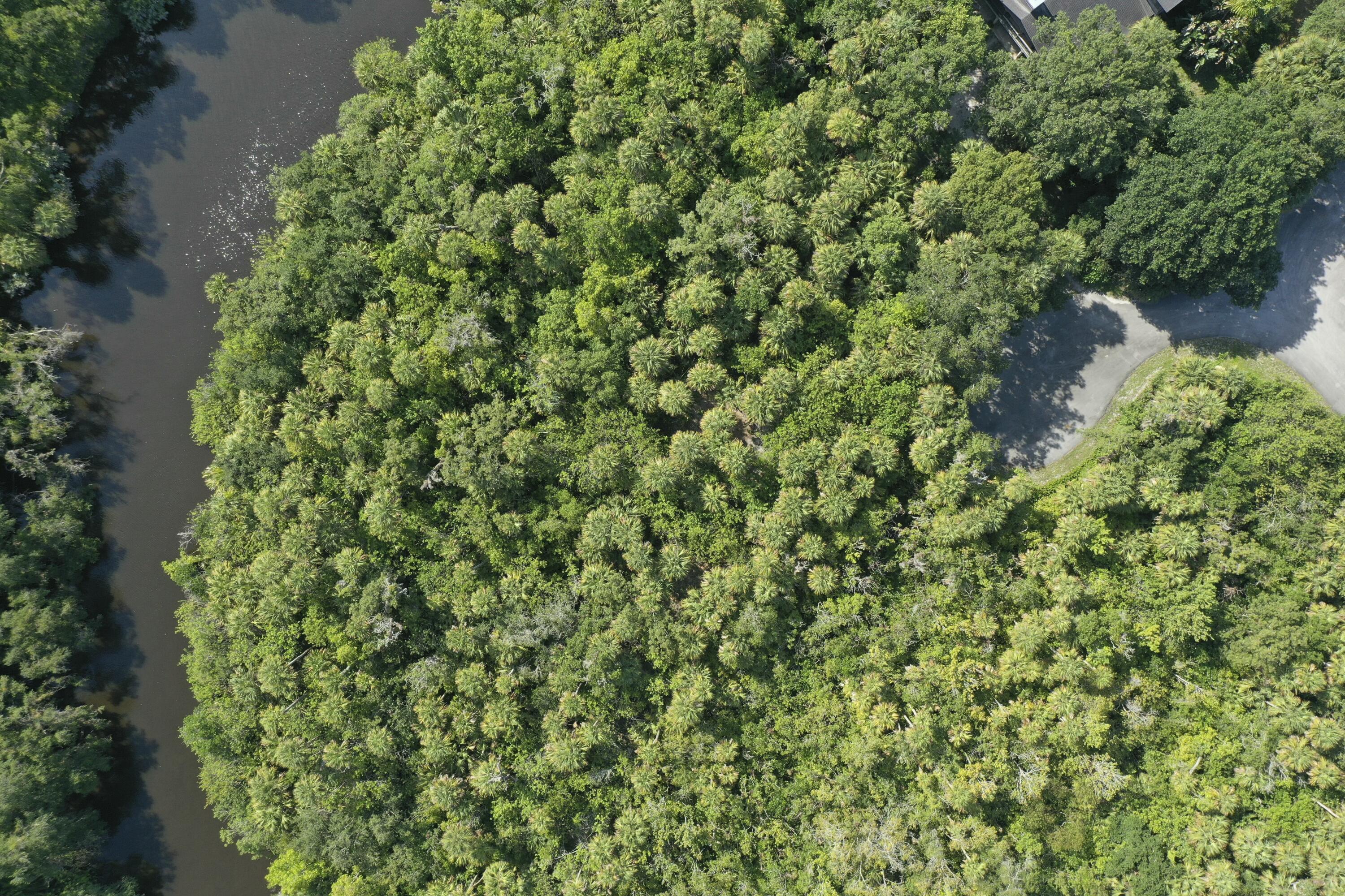 1905 Old River Road Fort Pierce, FL 34982 - Photo 17 of 20 tempImageljoFsp