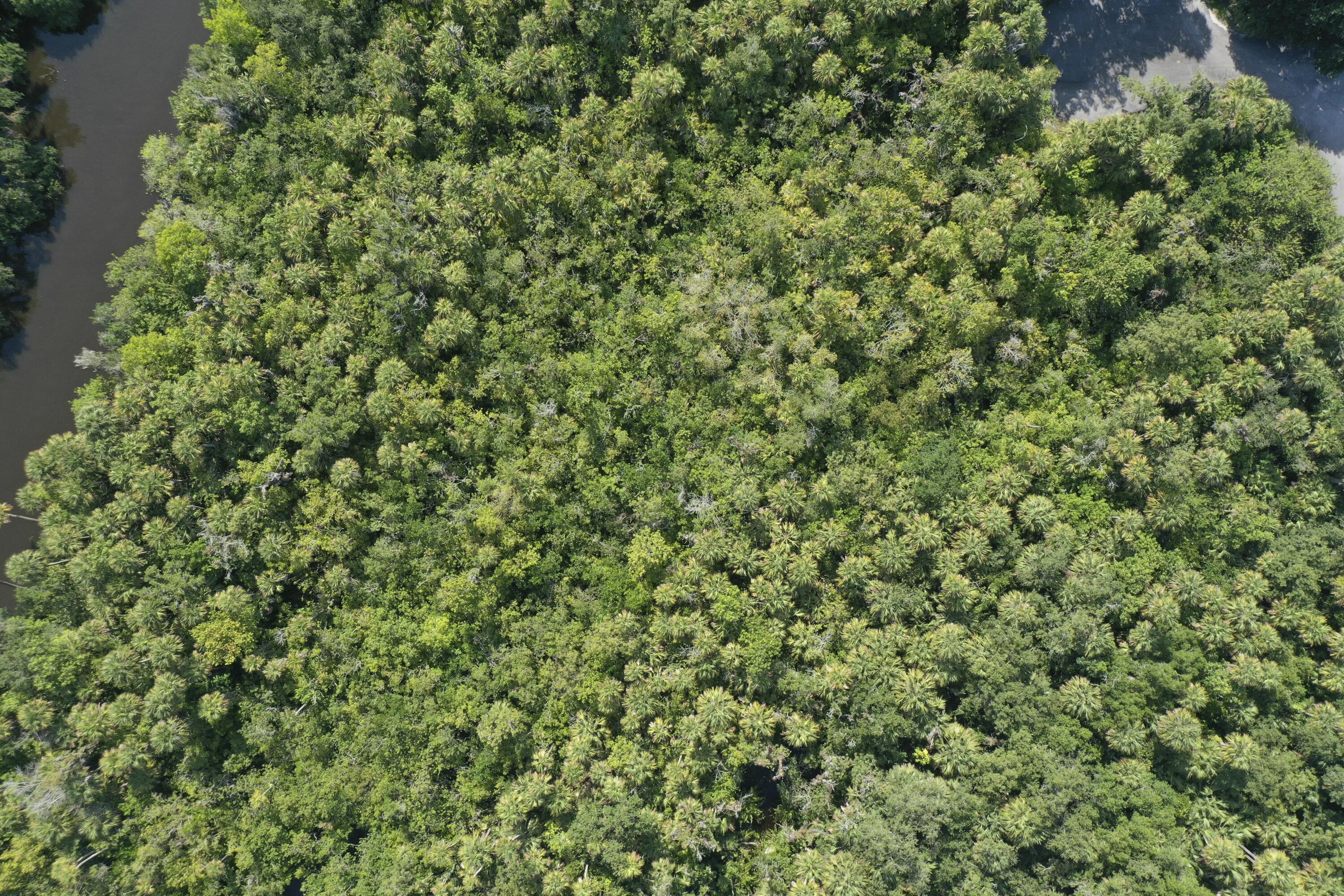 1905 Old River Road Fort Pierce, FL 34982 - Photo 18 of 20 tempImageumx7Qt