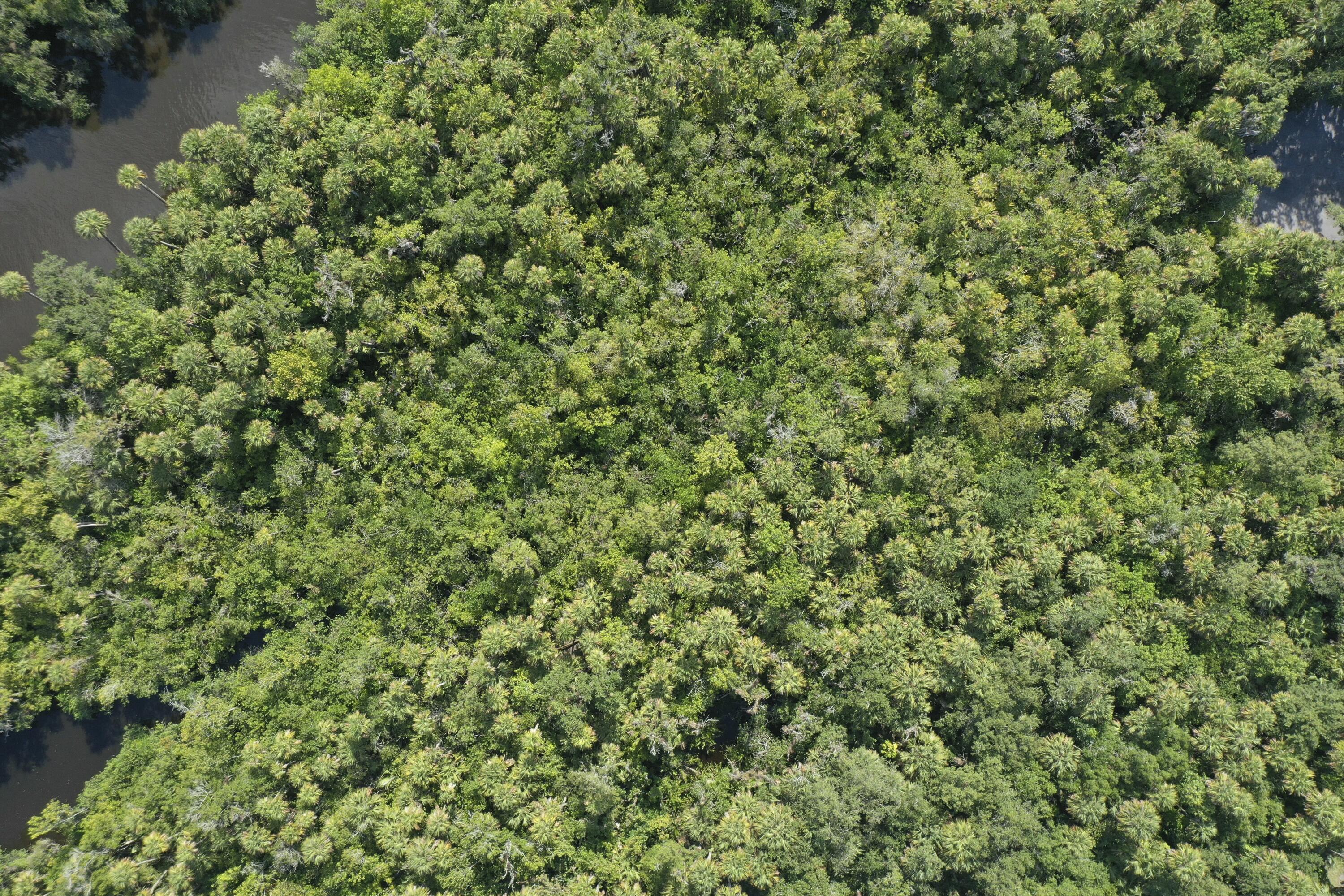 1905 Old River Road Fort Pierce, FL 34982 - Photo 19 of 20 tempImagexLskKN