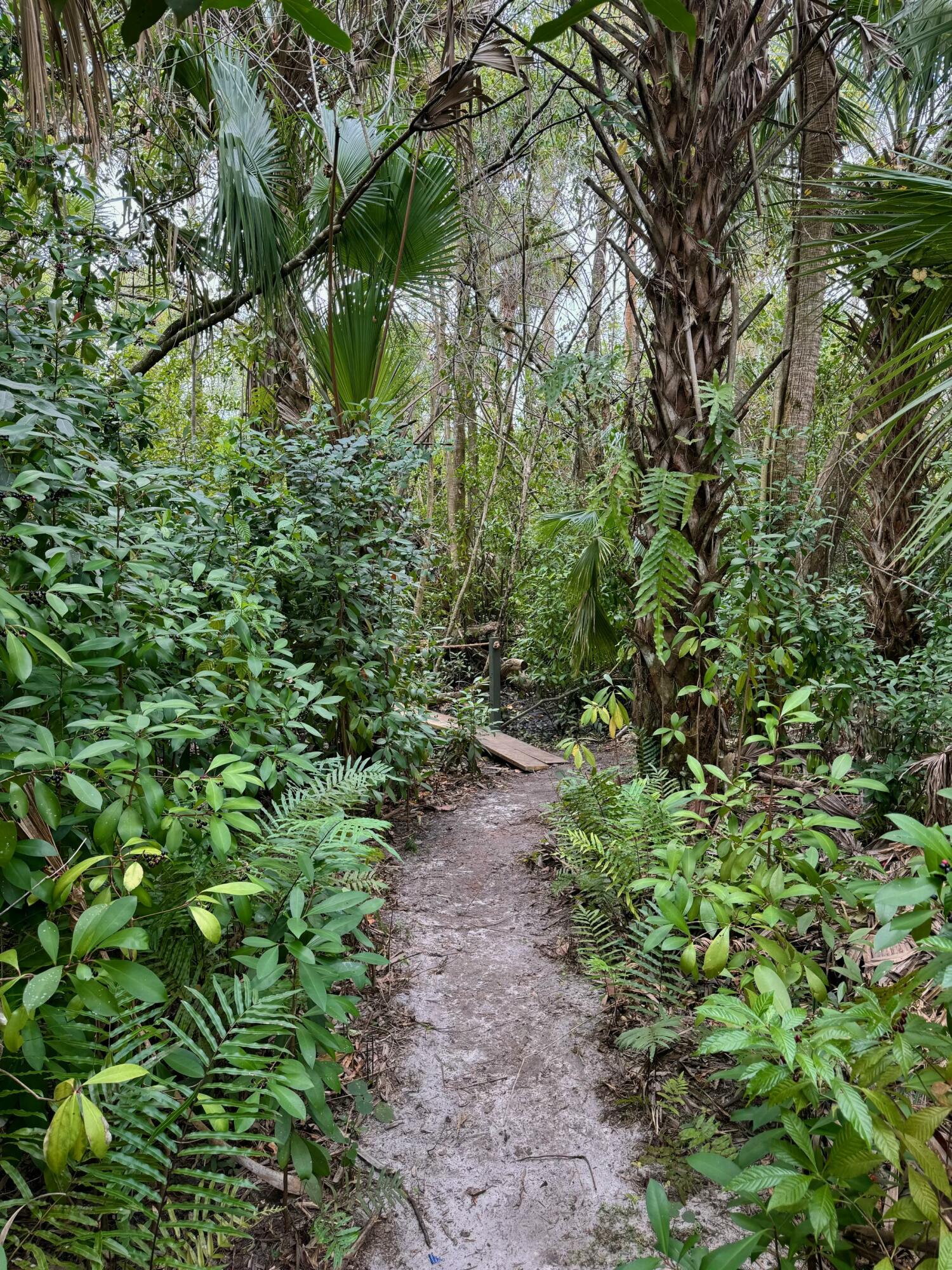 1905 Old River Road Fort Pierce, FL 34982 - Photo 6 of 20 tempImage1aNTd8