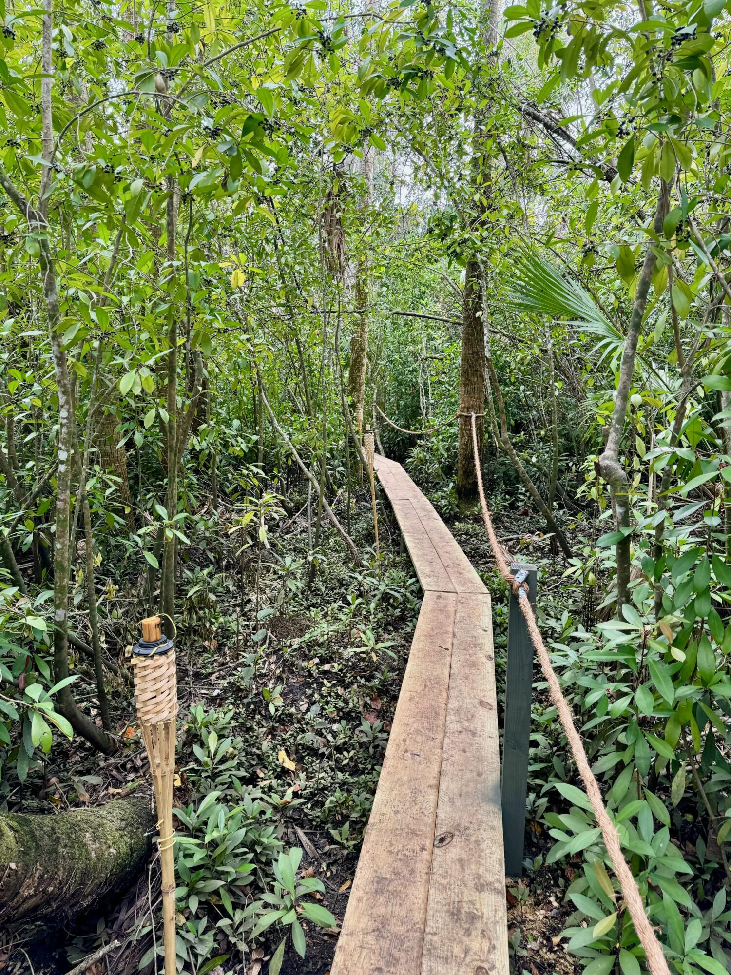 1905 Old River Road Fort Pierce, FL 34982 - Photo 7 of 20 tempImageJXHC3S