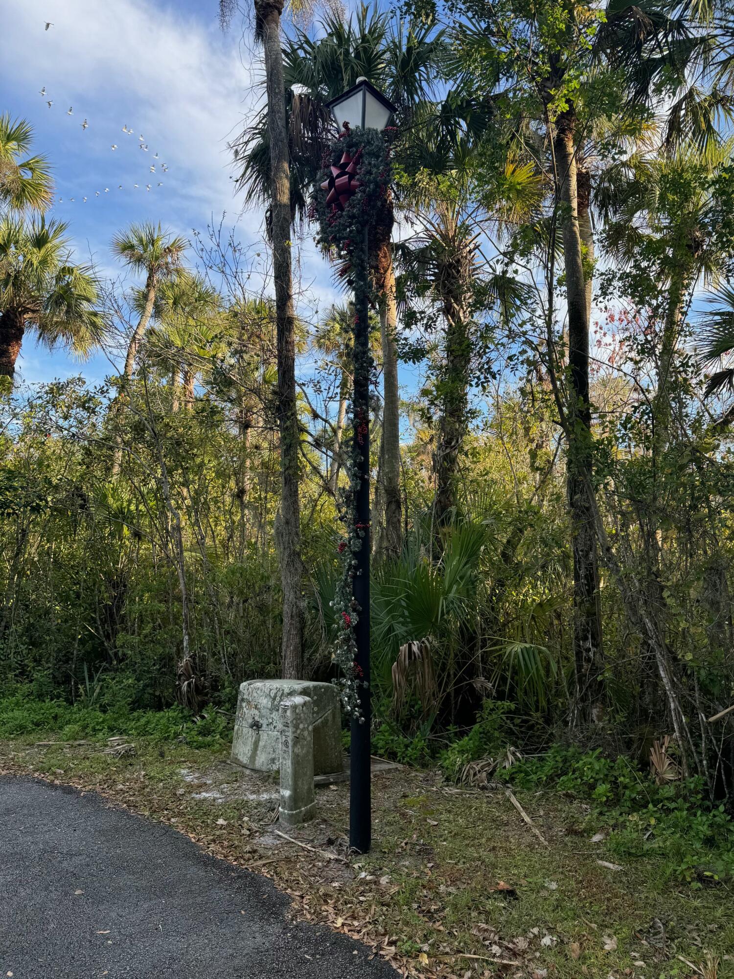 1905 Old River Road Fort Pierce, FL 34982 - Photo 9 of 20 tempImage68OQ9Y