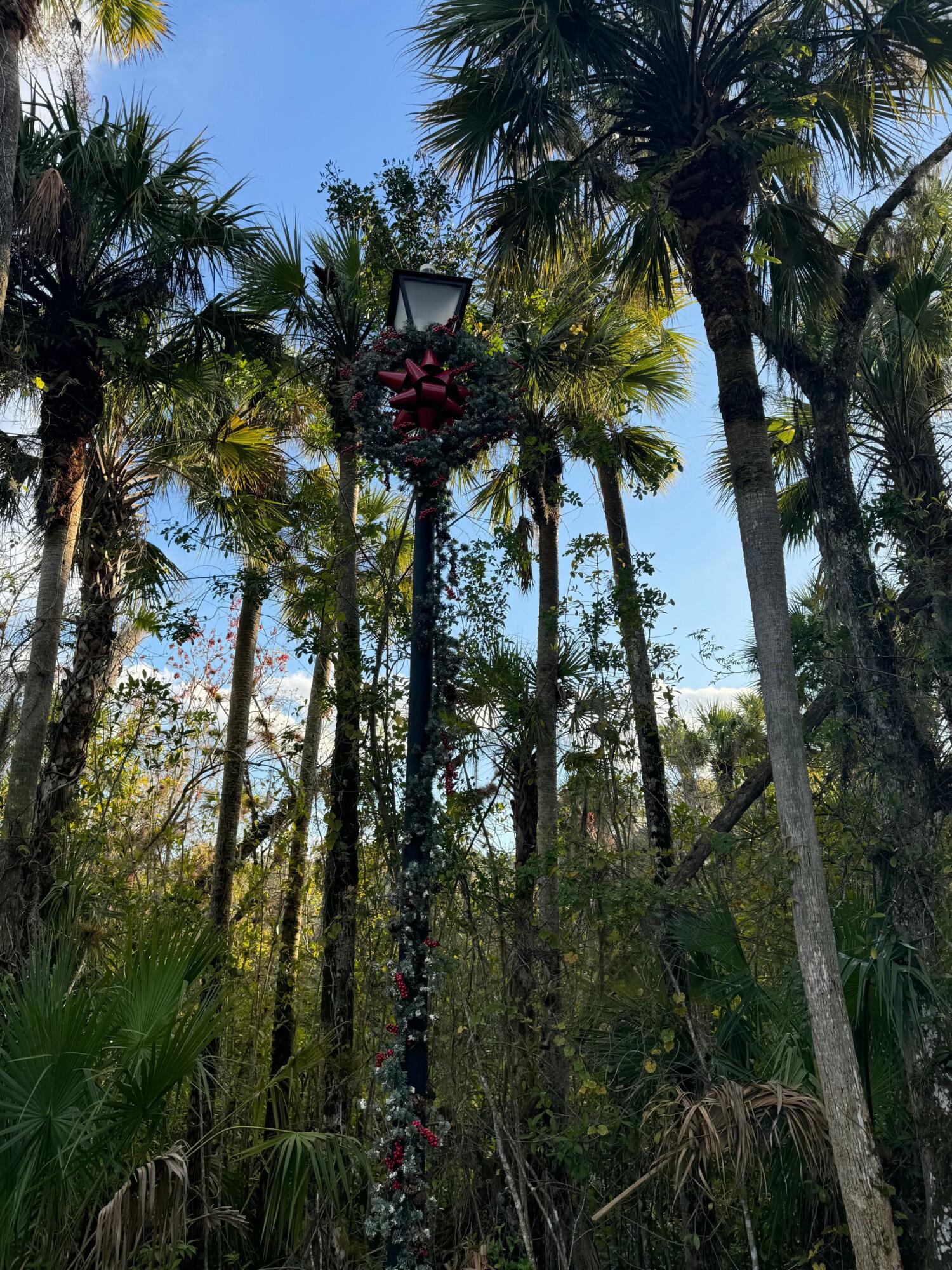 1905 Old River Road Fort Pierce, FL 34982 - Photo 10 of 20 tempImageRxdMs2