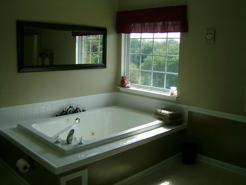 1741 Meadows Road Vinton, VA 24179 - Photo 17 of 23 a bath tub sitting in a bathroom next to a window