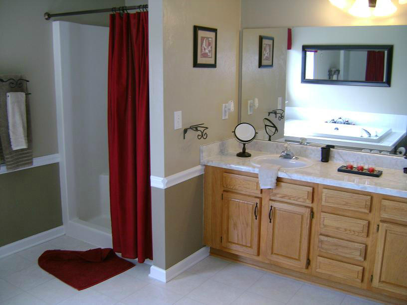 1741 Meadows Road Vinton, VA 24179 - Photo 18 of 23 a bathroom with a sink and a mirror