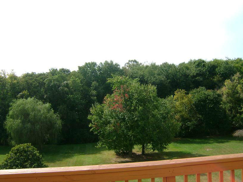1741 Meadows Road Vinton, VA 24179 - Photo 22 of 23 an aerial view of a yard