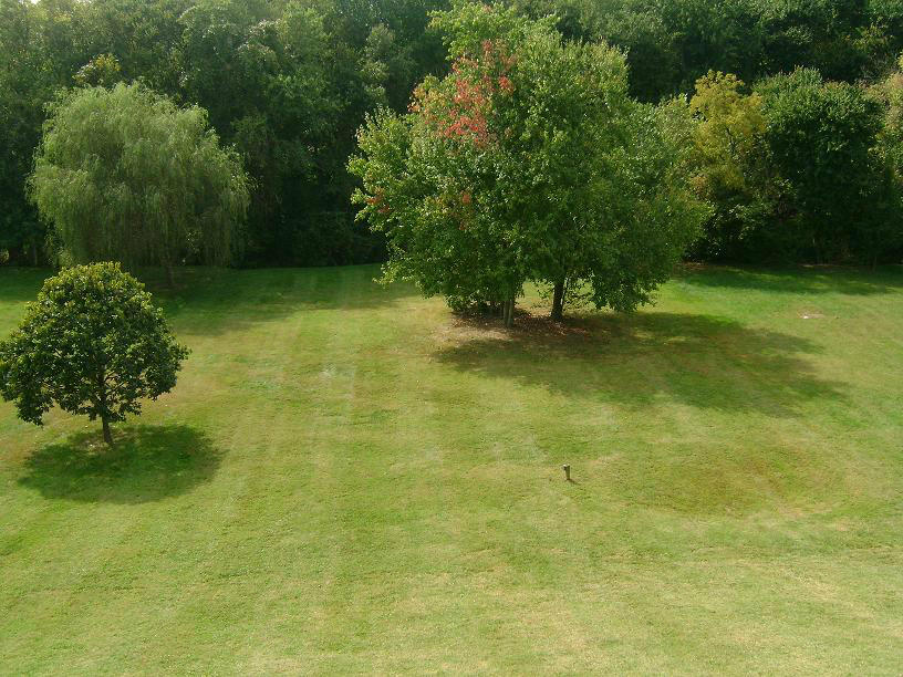 1741 Meadows Road Vinton, VA 24179 - Photo 23 of 23 a view of yard with green space