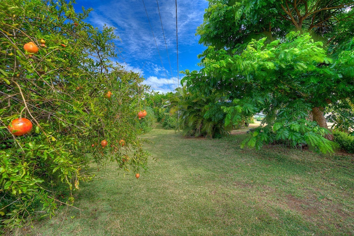 4577 Alawai Road Waimea, HI 96796 - Photo 21 of 27 Gallery Image 21