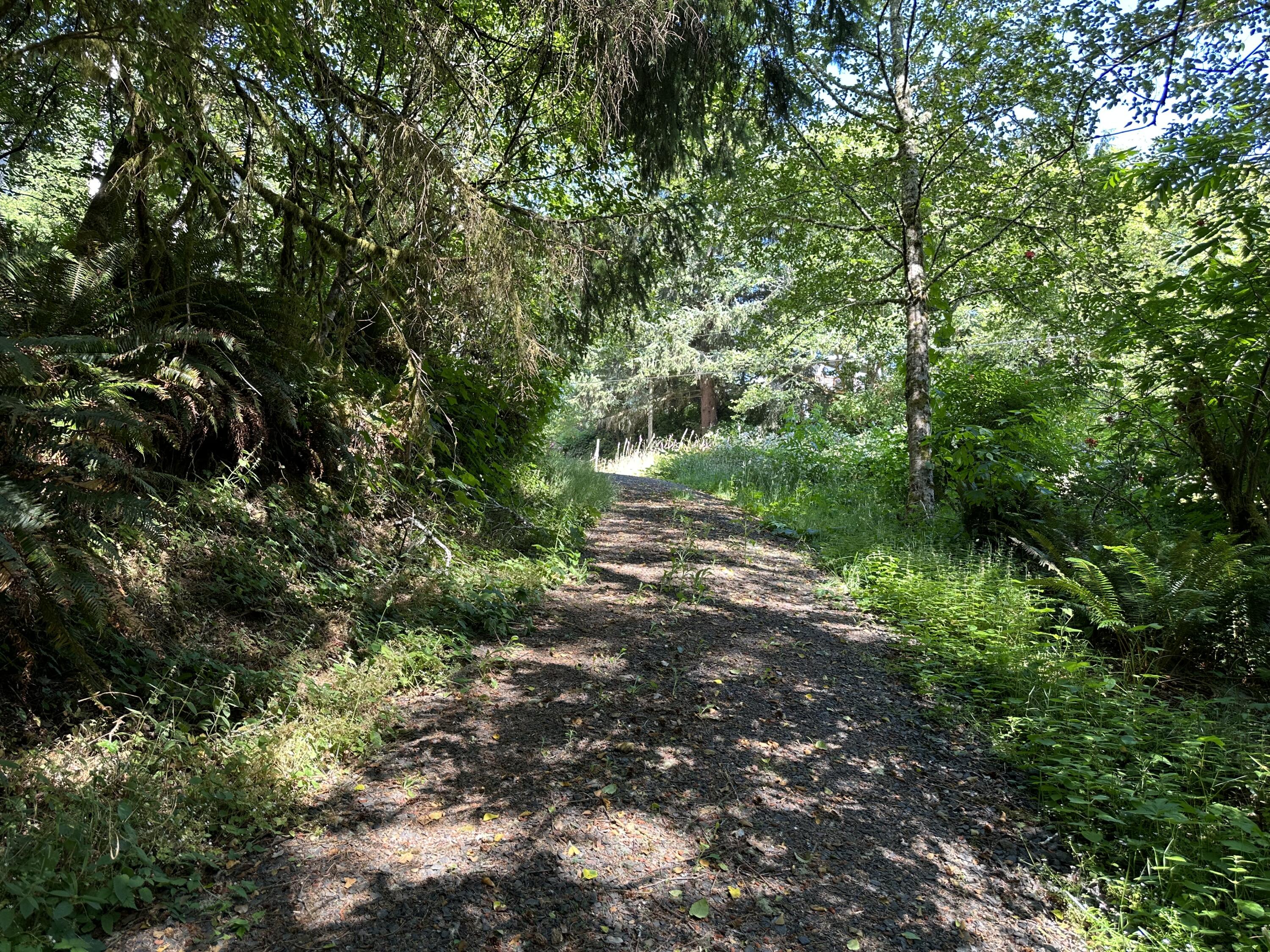 Lot#00300 Whiskey Creek Road Tillamook, OR 97141 - Photo 14 of 14 Facing up Driveway