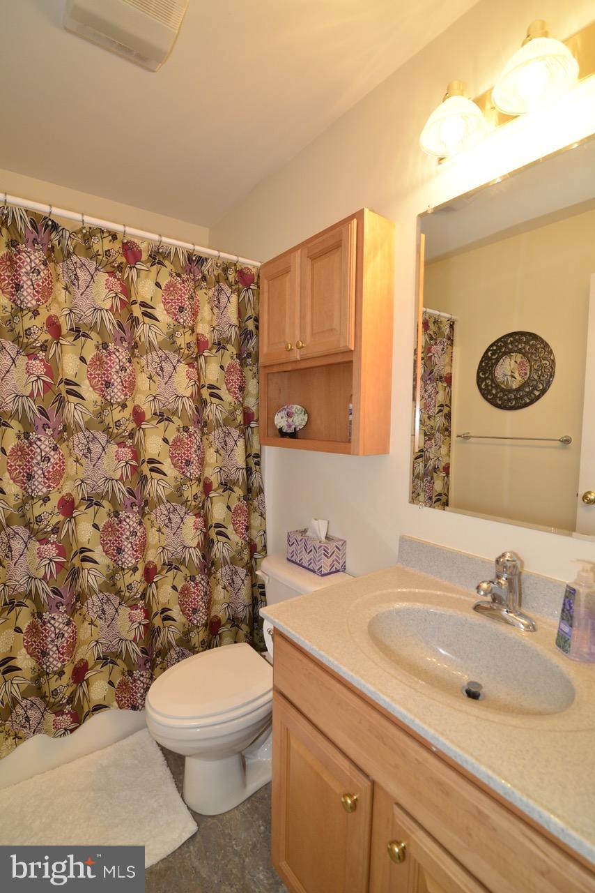 3056 Swift Shoals Road Boyce, VA 22620 - Photo 23 of 29 a bathroom with a toilet sink and mirror
