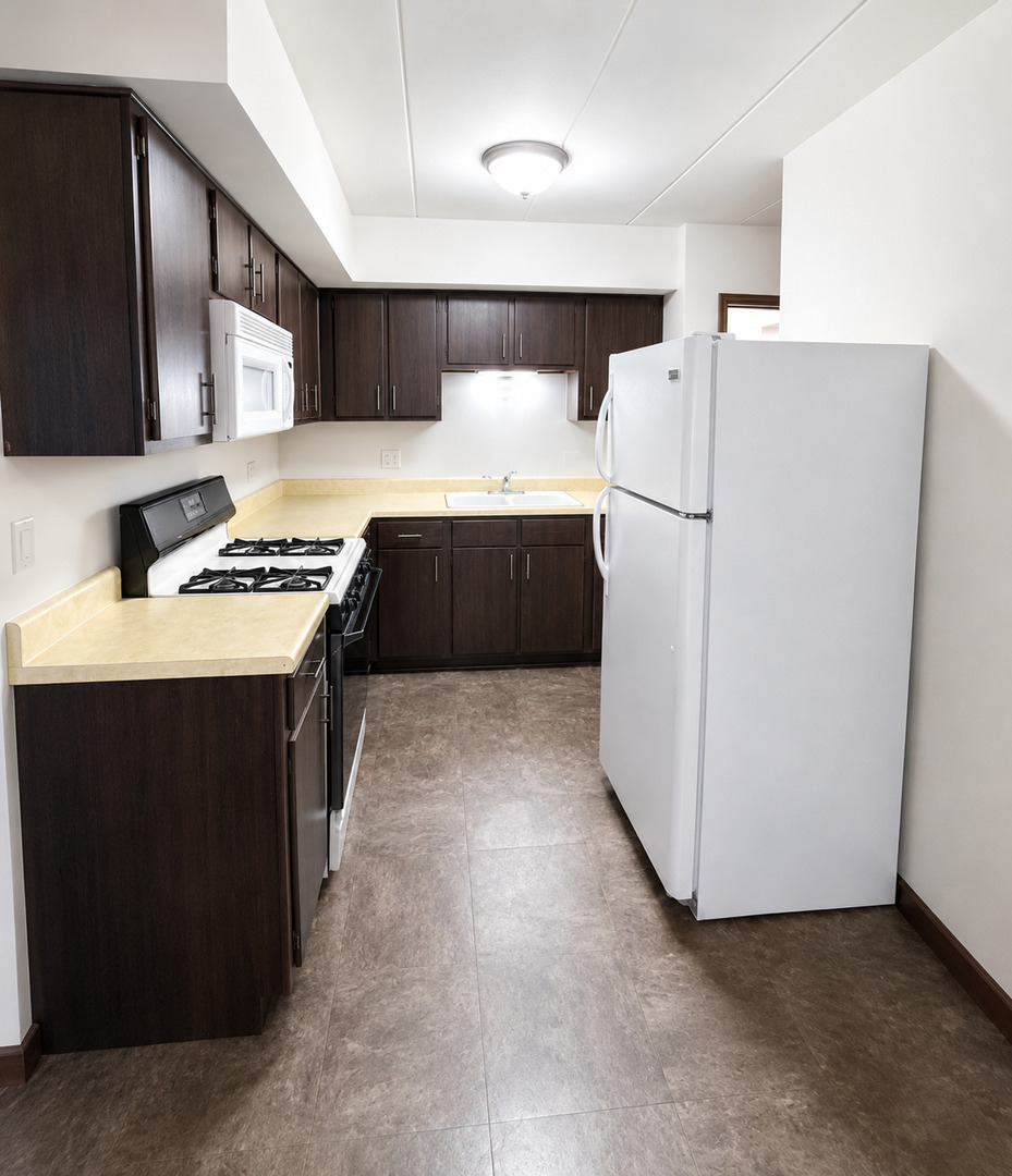 6360 Washington Street, Unit 2B Chicago Ridge, IL 60415 - Photo 3 of 8