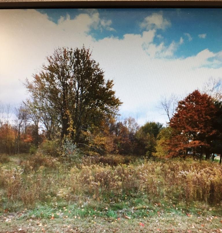Lot 6 Merritt Road Southwest Pataskala, OH 43062 - Photo 1 of 3 Gallery Image 1