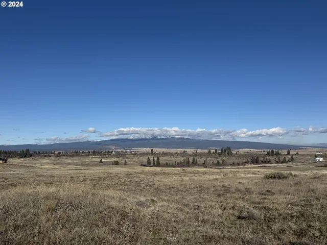 a view of an ocean beach