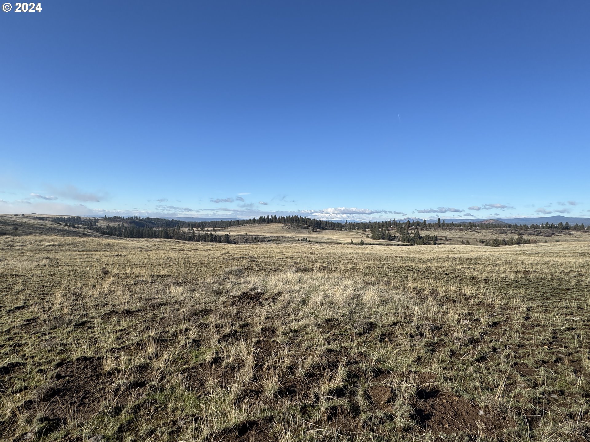 50 Lipo Road Centerville, WA 98613 - Photo 13 of 36 a view of an ocean