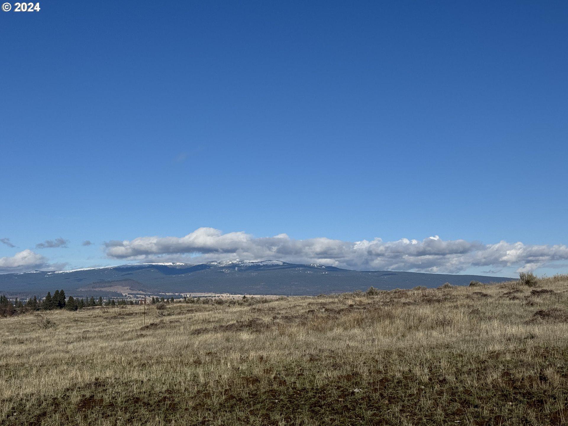 50 Lipo Road Centerville, WA 98613 - Photo 14 of 36 a view of an outdoor space and mountain view in back