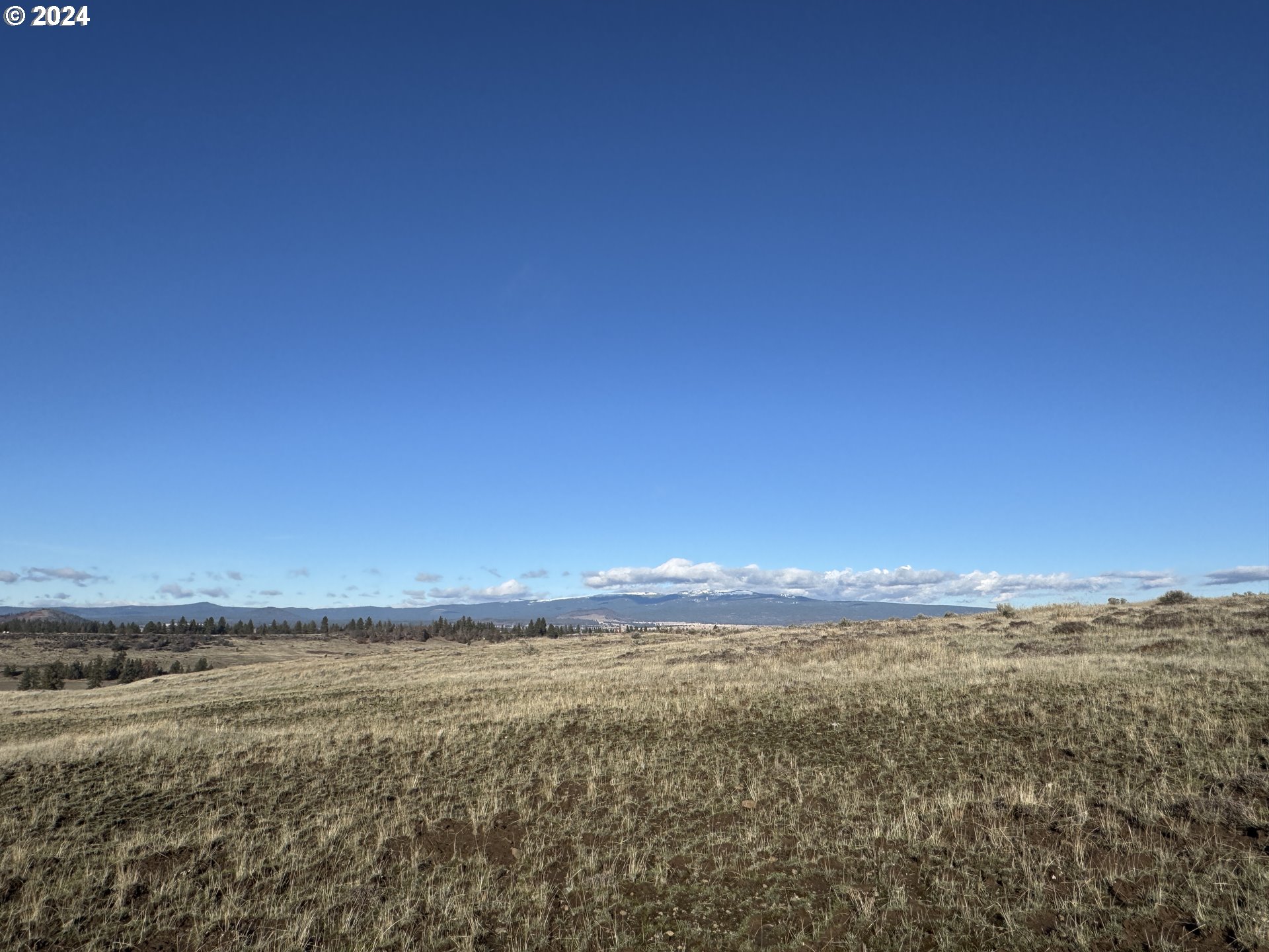 50 Lipo Road Centerville, WA 98613 - Photo 15 of 36 a view of an ocean