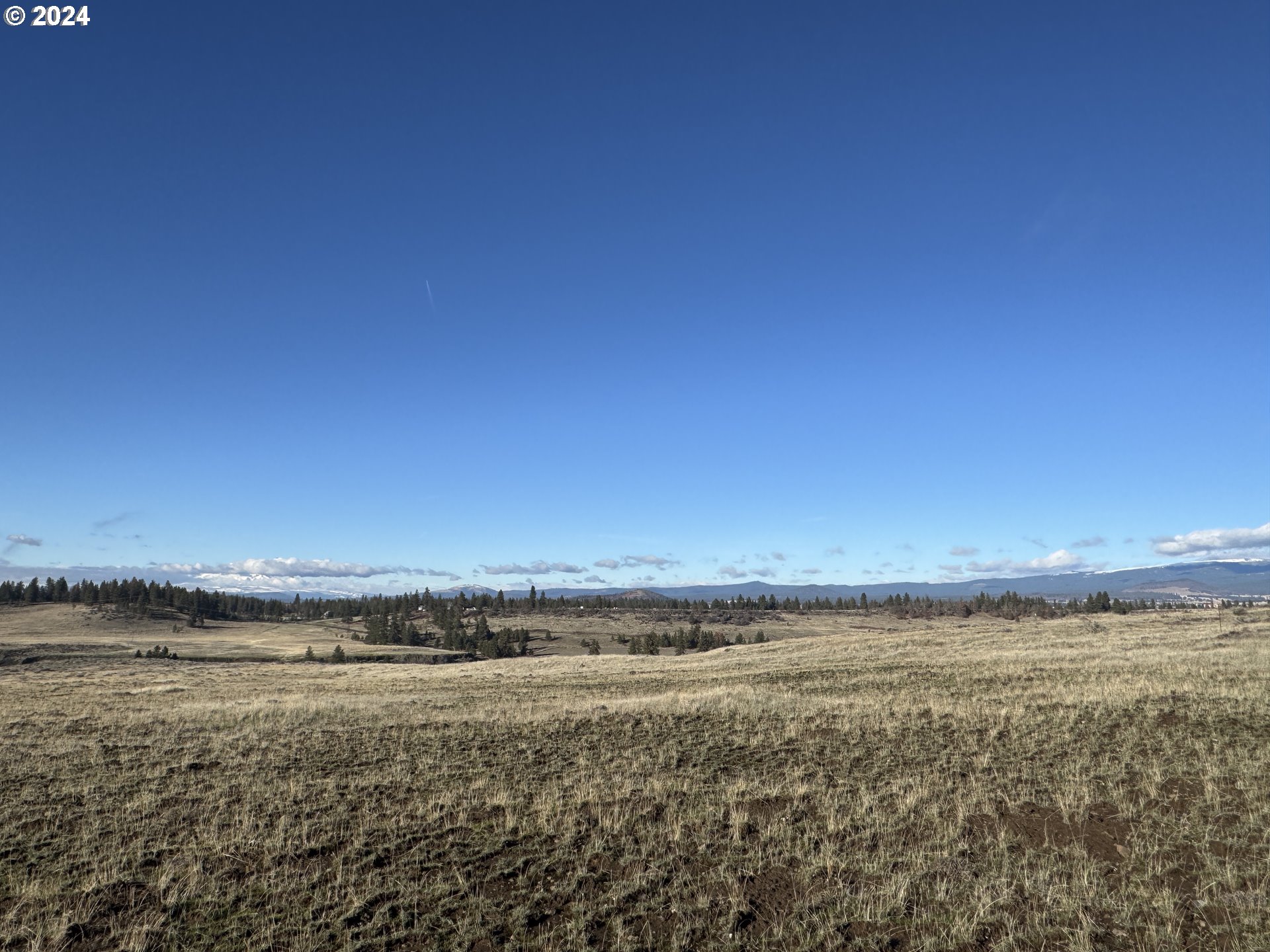 50 Lipo Road Centerville, WA 98613 - Photo 16 of 36 a view of an ocean