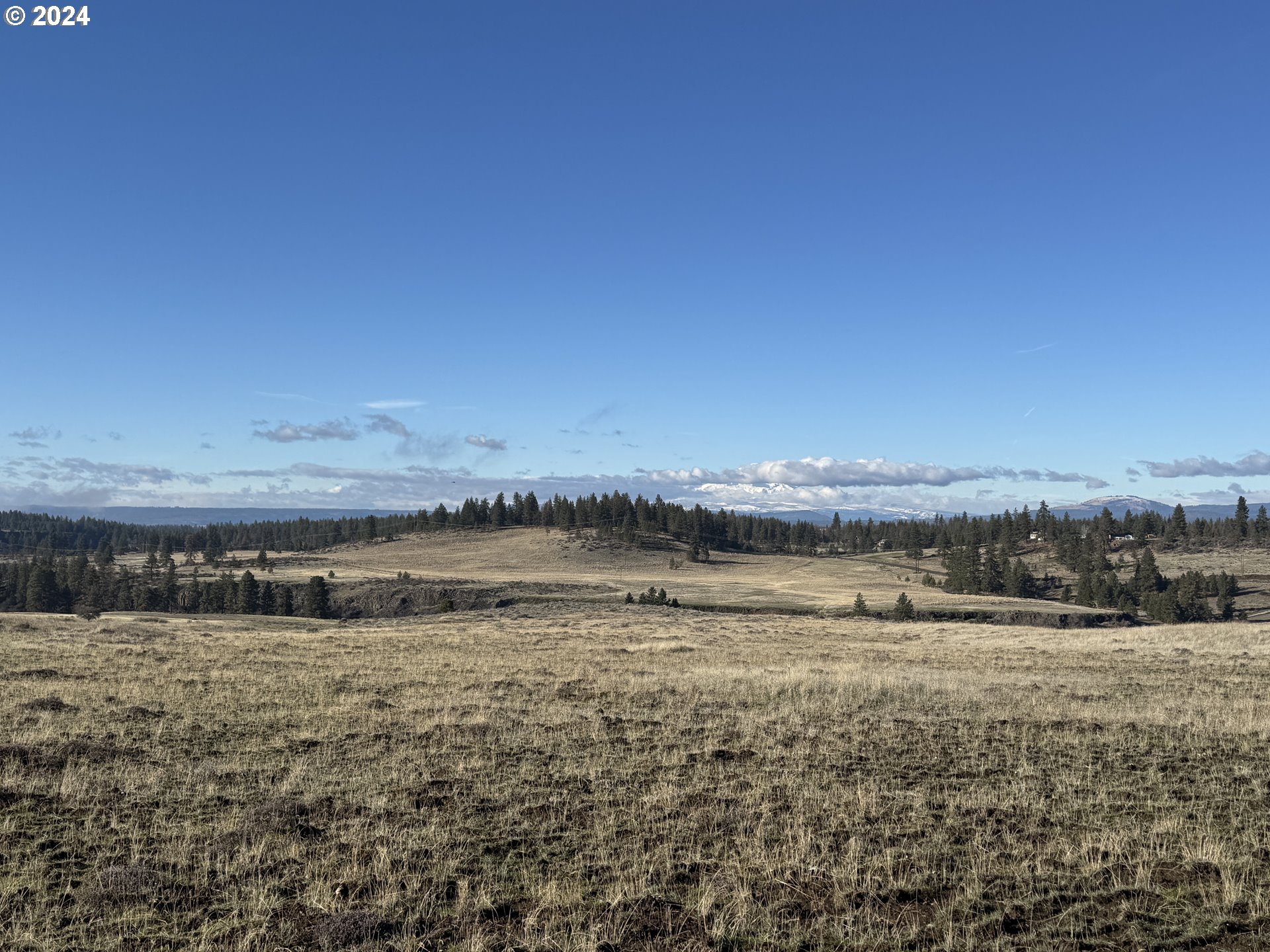 50 Lipo Road Centerville, WA 98613 - Photo 18 of 36 a view of lake view and mountain