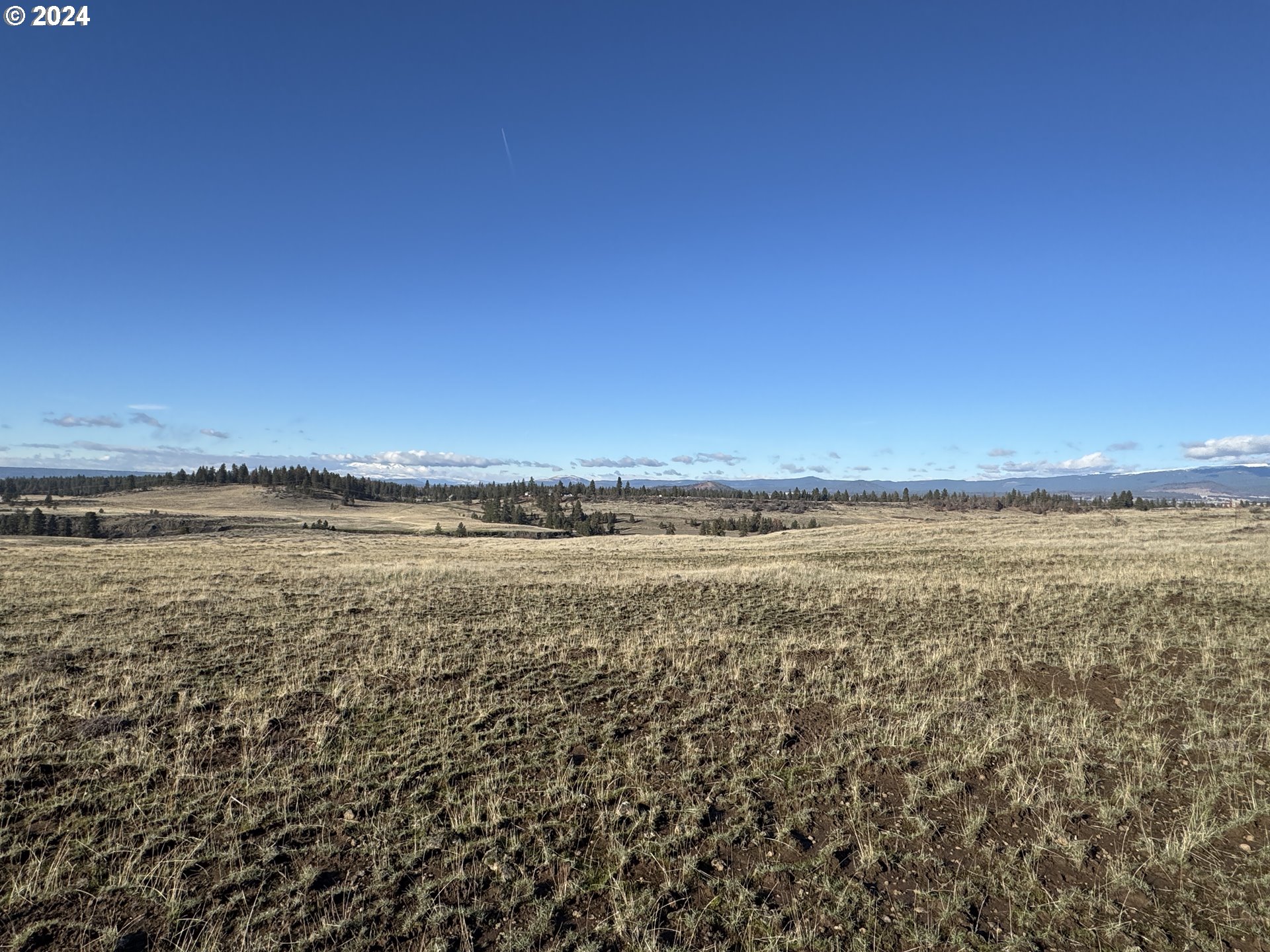 50 Lipo Road Centerville, WA 98613 - Photo 19 of 36 a view of an ocean