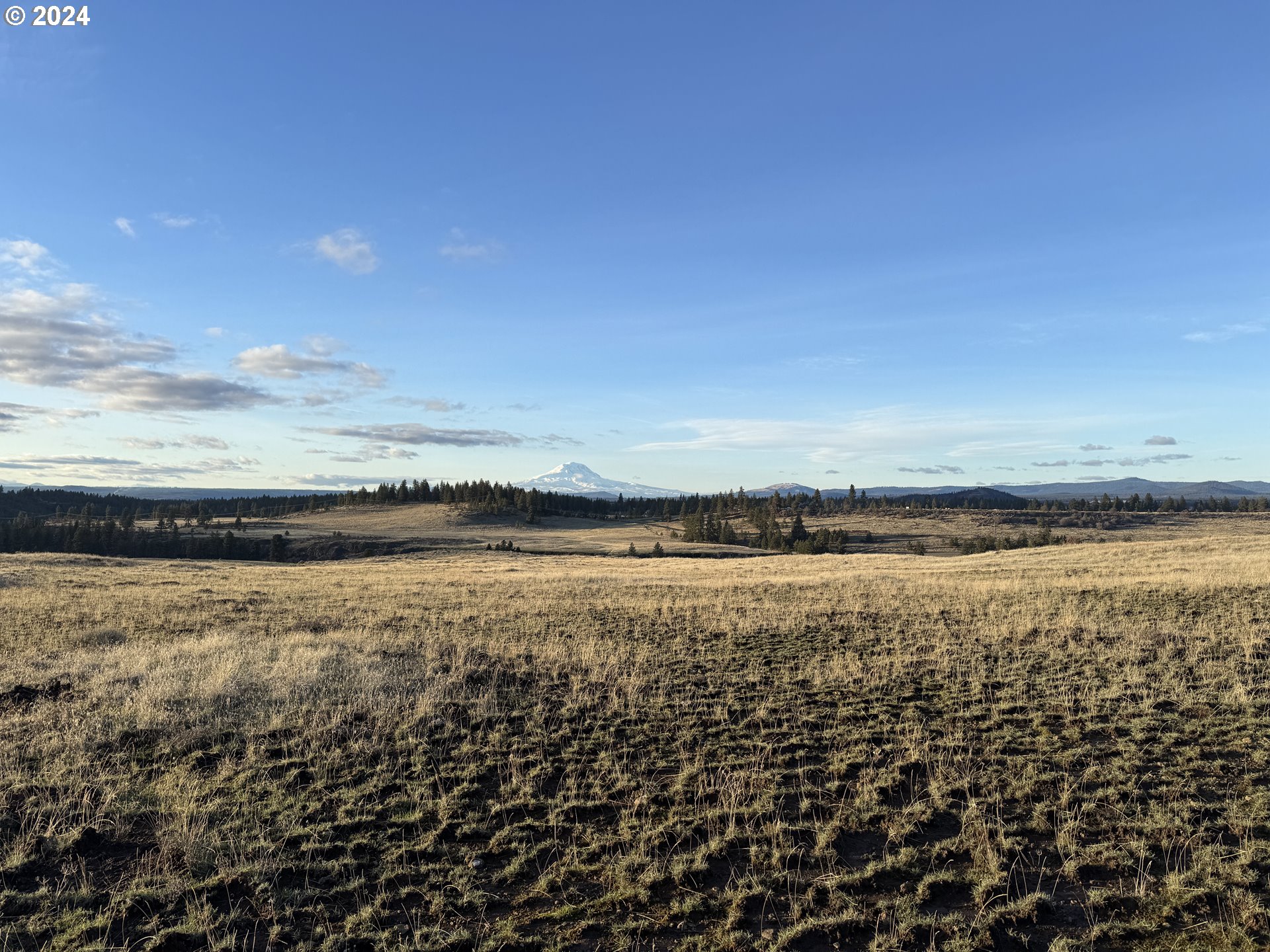 50 Lipo Road Centerville, WA 98613 - Photo 20 of 36 a view of an ocean